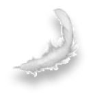 Freigestellte Feder mit einem Schatten