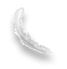 Freigestellte Feder mit einem Schatten