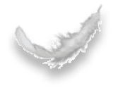 Freigestellte Feder mit einem Schatten