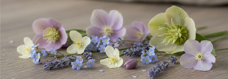 Mehrere bunte Blumen liegen auf einem Tisch