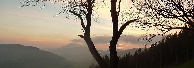 Landschaft mit einem Baum im Vordergrund, dahinter Berge