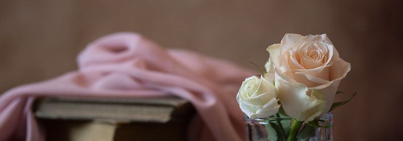 Eine Rose im Vordergrund, im Hintergrund ist ein Buch und ein rosa Tuch